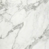 Arabescato Verona Honed 32X32 | Alita Tile