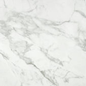 Arabescato Verona Honed 32X32 | Alita Tile
