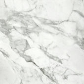 Arabescato Verona Honed 32X32 | Alita Tile