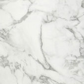 Arabescato Verona Honed 32X32 | Alita Tile