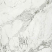 Arabescato Verona Honed 32X32 | Alita Tile