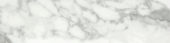 Arabescato Verona Honed 3X12 Bullnose | Alita Tile