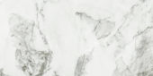 Arabescato Verona Polished 24X48 | Alita Tile