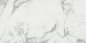 Arabescato Verona Polished 24X48 | Alita Tile