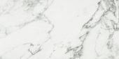 Arabescato Verona Polished 24X48 | Alita Tile
