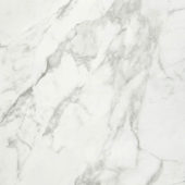 Arabescato Verona Polished 32X32 | Alita Tile