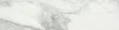 Arabescato Verona Polished 3X12 Bullnose | Alita Tile