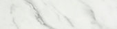 Arabescato Verona Polished 3X12 Bullnose | Alita Tile