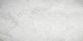 Argento 12X24 | Alita Tile