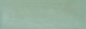 Aruba Moss Gloss 2x6 | Alita Tile