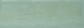 Aruba Moss Gloss 2x6 | Alita Tile
