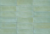 Aruba Moss Gloss 2x6 | Alita Tile