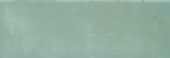 Aruba Moss Gloss 2x6 | Alita Tile