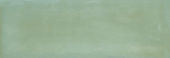 Aruba Moss Gloss 2x6 | Alita Tile