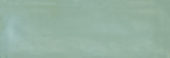 Aruba Moss Gloss 2x6 | Alita Tile