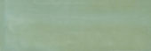 Aruba Moss Gloss 2x6 | Alita Tile