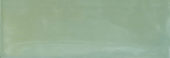 Aruba Moss Gloss 2x6 | Alita Tile