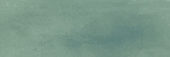 Aruba Moss Matt 2x6 | Alita Tile