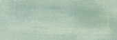 Aruba Moss Matt 2x6 | Alita Tile