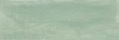 Aruba Moss Matt 2x6 | Alita Tile
