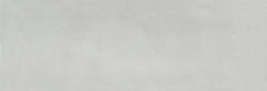 Aruba Silver Gloss 2x6 | Alita Tile