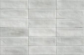 Aruba Silver Matt 2x6 | Alita Tile