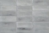 Aruba Steel Gloss 2x6 | Alita Tile