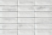 Aruba White Gloss 2x6 | Alita Tile