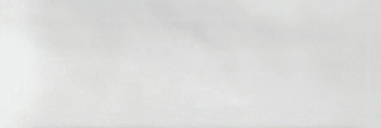 Aruba White Gloss 2x6 | Alita Tile