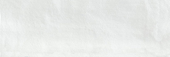 Aruba White Matt 2x6 | Alita Tile