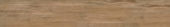 Autumn Forest 5.5X33F | Alita Tile