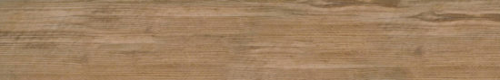 Autumn Forest 5.5X33F | Alita Tile