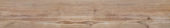 Autumn Forest 5.5X33F | Alita Tile