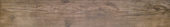 Autumn Forest 5.5X33F | Alita Tile