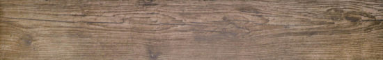Autumn Forest 5.5X33F | Alita Tile