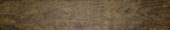 Autumn Forest 5.5X33F | Alita Tile