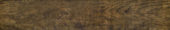 Autumn Forest 5.5X33F | Alita Tile