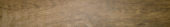 Autumn Forest 5.5X33F | Alita Tile