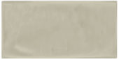 Autumn Tan 3X6 Glossy | Alita Tile