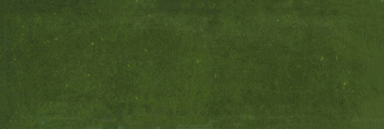 Barcelona 2x6" Olive | Alita Tile