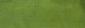 Barcelona 2x6" Olive | Alita Tile