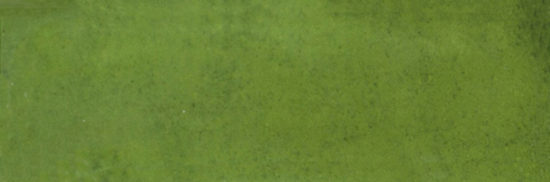 Barcelona 2x6" Olive | Alita Tile