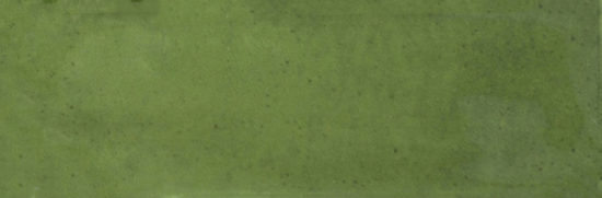 Barcelona 2x6" Olive | Alita Tile