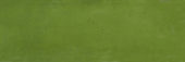 Barcelona 2x6" Olive | Alita Tile