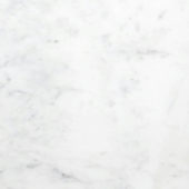 Bianco Venatino Honed 12X12 | Alita Tile