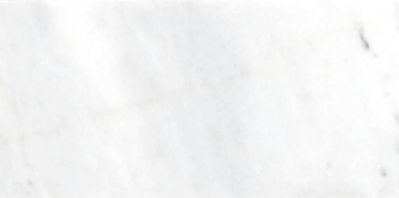 Bianco Venatino Polish 3X6 | Alita Tile