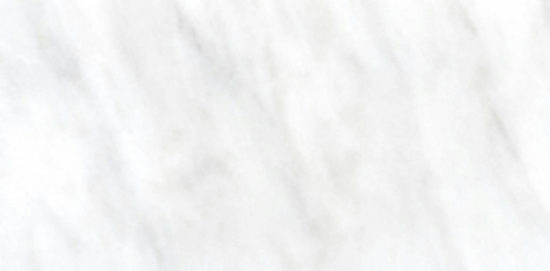 Bianco Venatino Polish 3X6 | Alita Tile