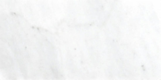 Bianco Venatino Polish 3X6 | Alita Tile