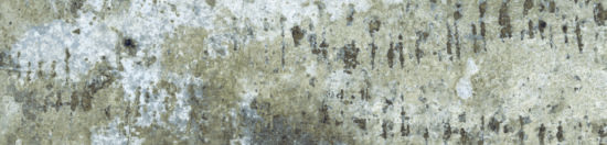 Brix 2x10 Mud | Alita Tile