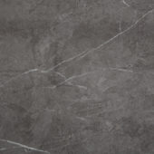 Carpantian Gloss Wall Panel 24x48 | Alita Tile